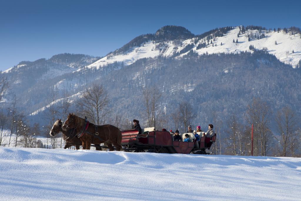 Bergheim Komfort Ferienwohnungen Walchsee Luaran gambar