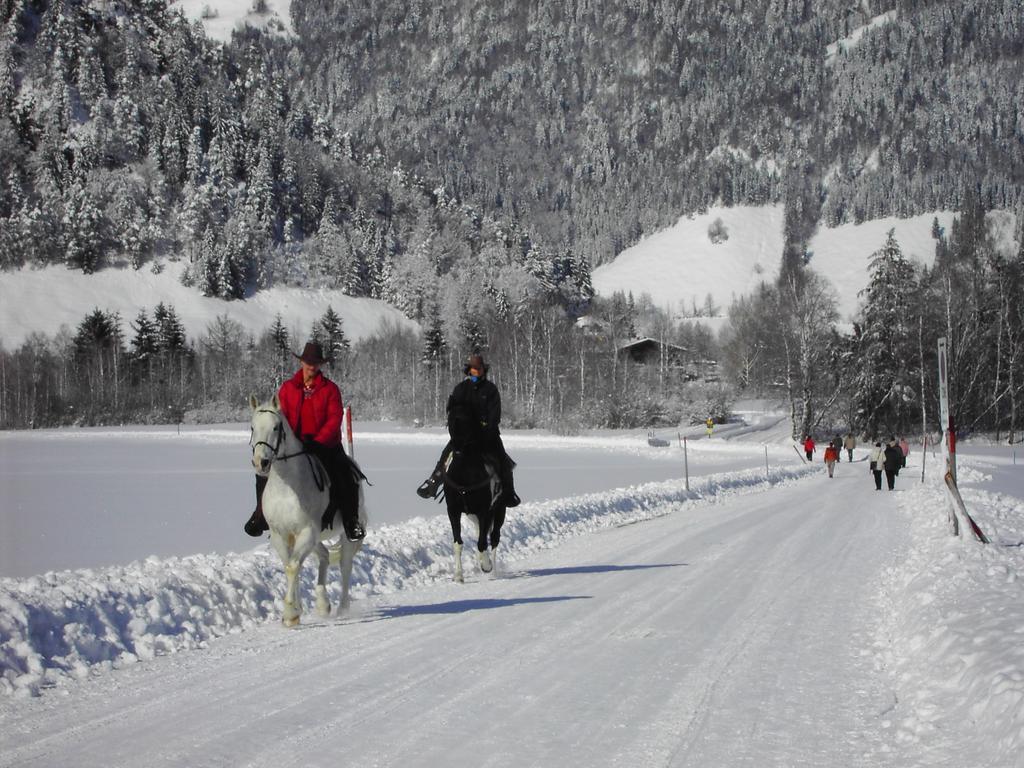 Bergheim Komfort Ferienwohnungen Walchsee Luaran gambar